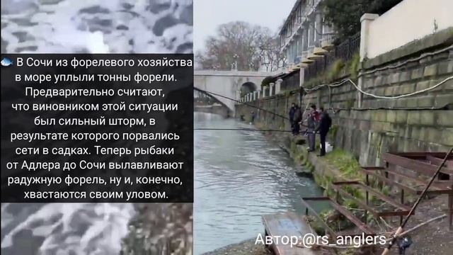 ФОРЕЛЬ ДОБРАЛАСЬ ДО #ГЕЛЕНДЖИКА а СНАЧАЛА БЫЛО #СОЧИ... смотреть онлайн