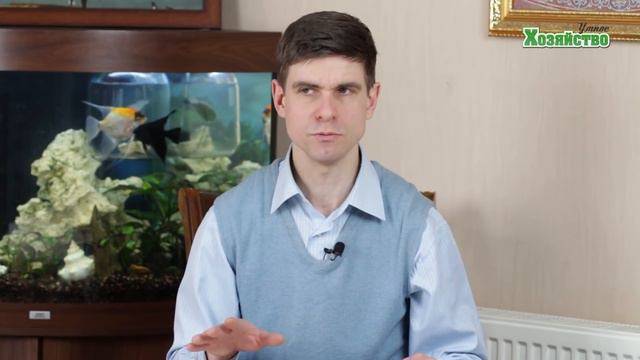 Что нужно сеять в феврале?