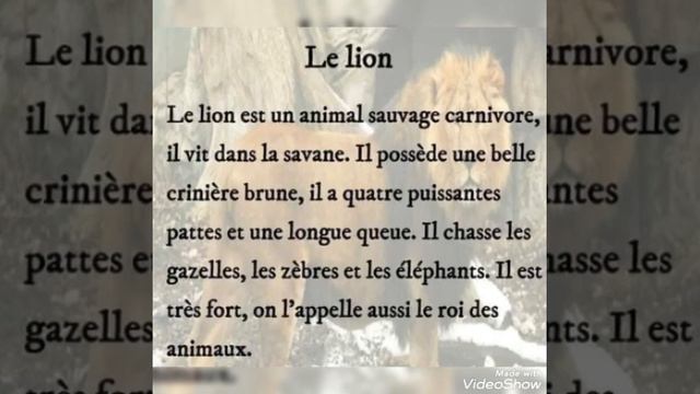 وصف الأسد Décrire le Lion le roi des animaux texte descriptif смотреть онлайн