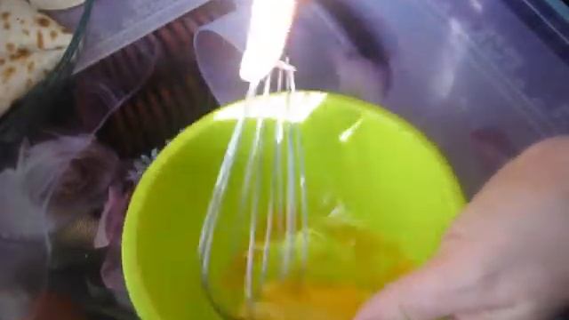 Животные в Зоопарках