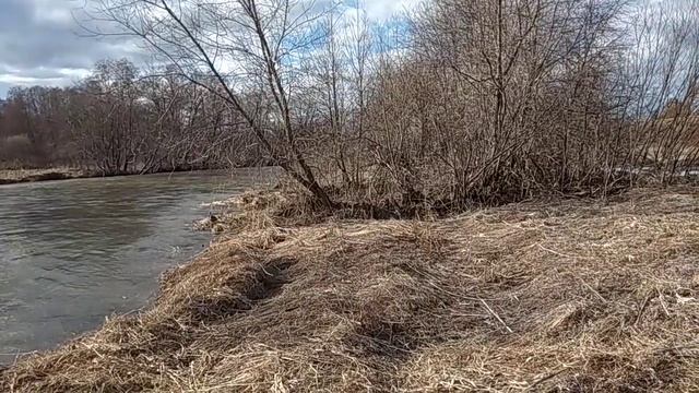 Аэролодка Манёвр