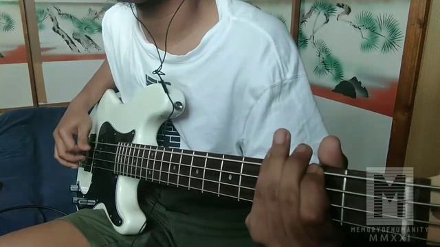 THE CRANBERRIES - ZOMBIE [ BASS COVER ] смотреть онлайн