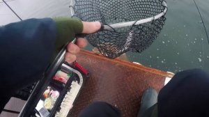 Безлимит Бисерово | Особенности ловли мелкой форели | Воблеры и силиконовые приманки Trout Jara