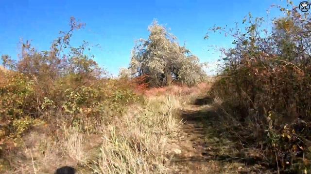 Одесская область. Катакомбы и Куяльник. смотреть онлайн