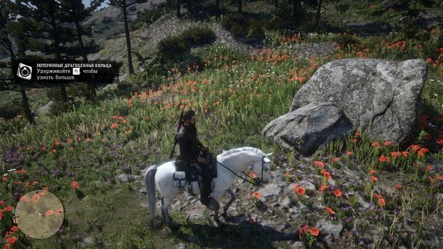RDO:Фарм денег не для новичка