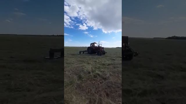 Сенокос 2021 смотреть онлайн