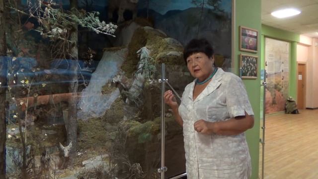 Кабарга в Хакасском Национальном Краеведческом музее им. Л. Р. Кызласова. Музеи Сибири.160 смотреть онлайн