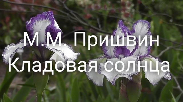 Глава 4 - Кладовая солнца смотреть онлайн