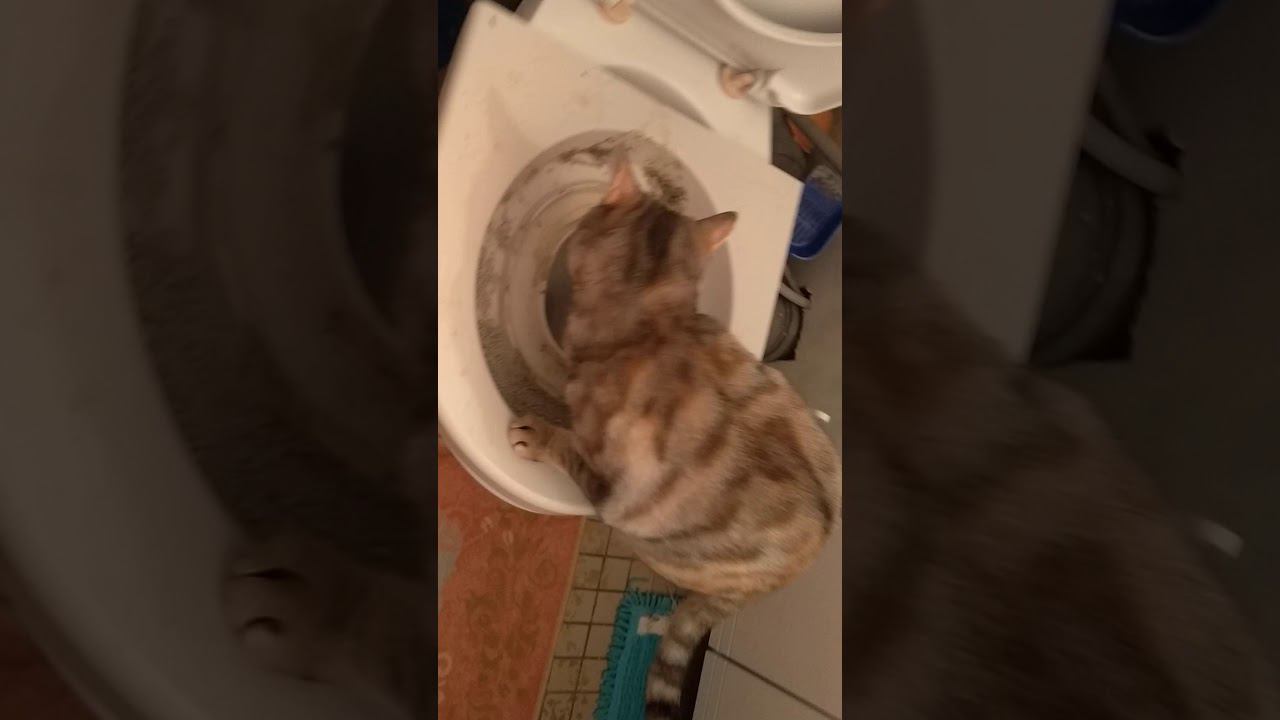 22 января 2020 г. смотреть онлайн