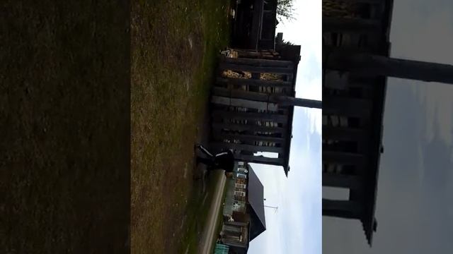 Муха на жопу смотреть онлайн