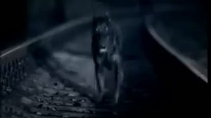 Алёна Высотская - Я не болею тобой