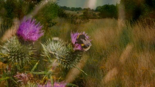 Canon 1100D (Photos) смотреть онлайн