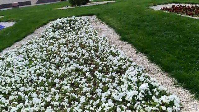 Сквер имени Гейдара Алиева в Старом Тбилиси смотреть онлайн