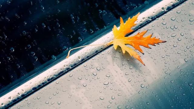 046. МУЗЫКАЛЬНЫЙ ВЗРЫВ ДОЖДЯ | НАНДИ И БАСМАКИ | relax смотреть онлайн
