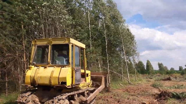 Валим лес! Очистка поля 19,5 га дт75 смотреть онлайн