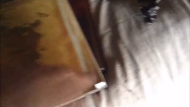 UNBOXING ESO Imperial Edition - The Elder Scrolls Online Tamriel Unlimited - TESO смотреть онлайн