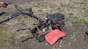 Мотокультиватор SunGarden "Добрыня" 5,5. (5 лет эксплуатации) Обзор