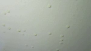 Мыть окрашенный потолок, 1