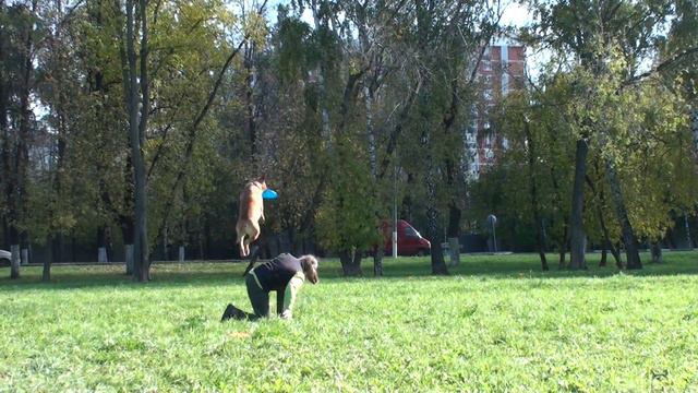 Бакурова Елена АСТ Ульман Меджик Стайл смотреть онлайн