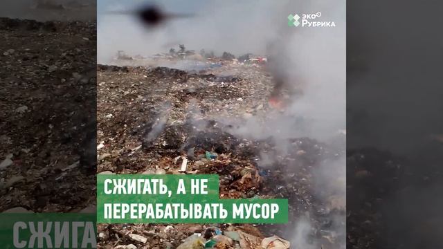 Начни с себя. Как лично бороться с изменением климата смотреть онлайн