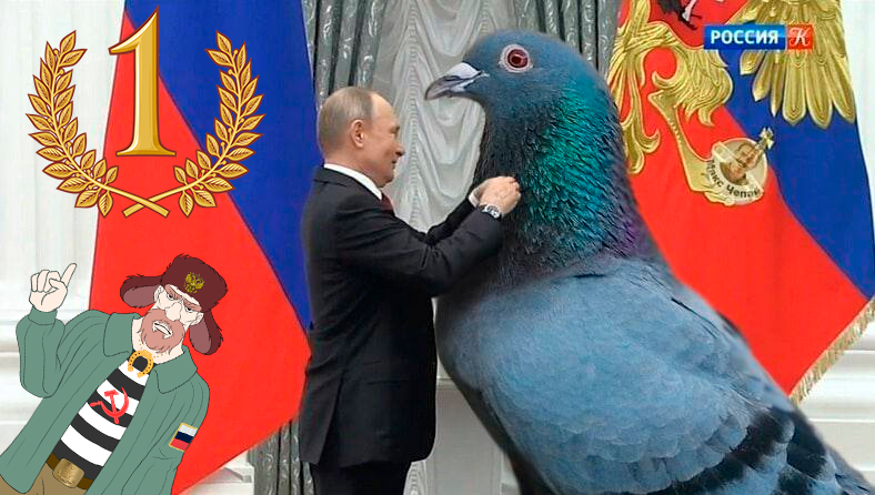 БДС #1: как Агент Сизый Байдена переиграл смотреть онлайн