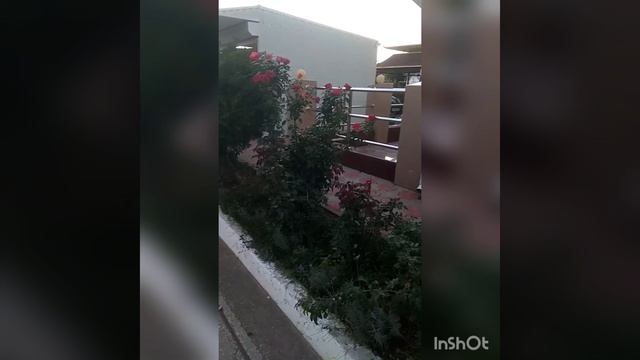 НИКОЛАЕВКА КРЫМ РОЗЫ смотреть онлайн