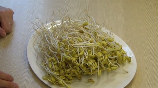 Корейская кухня: Закуска из соевых ростков или Кон намуль мучим (콩나물무침) смотреть онлайн