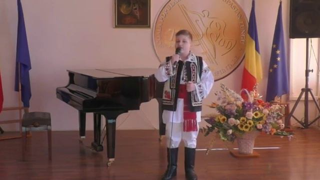 Robert Ivan - "Hora mare a lui Stefan" смотреть онлайн