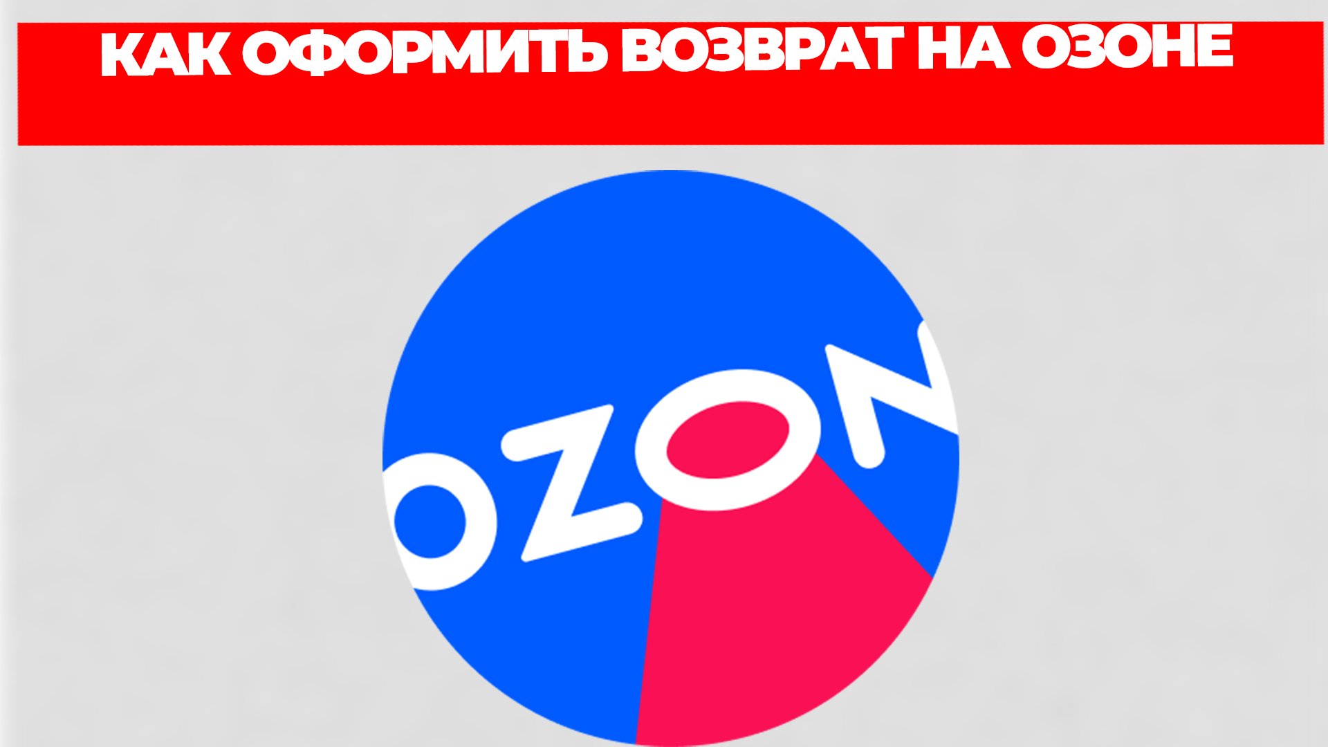 Всезнающий Енот