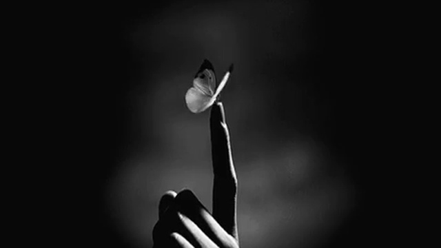 СВЕТА - ЛОНДОН - МОСКВА.автор ролика Светлый смотреть онлайн