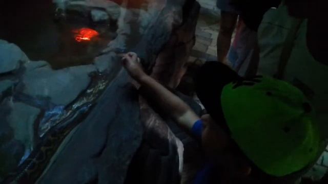 АНАКОНДА ЧТО БУДЕТ ,ЕСЛИ ОНА ЗАХОТЕЛА ПРОГЛОТИТЬ ЧЕЛОВЕКА? смотреть онлайн