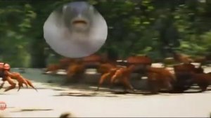 рыба фугу танцует под мем крабы танцуют.