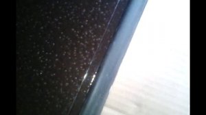 Как правильно приклеить уплотнитель на входную железную дверь