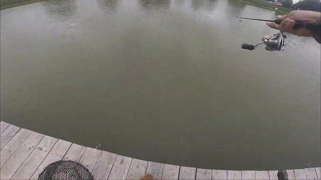 Резина Troutcraft 10 минут и форель поймана смотреть онлайн