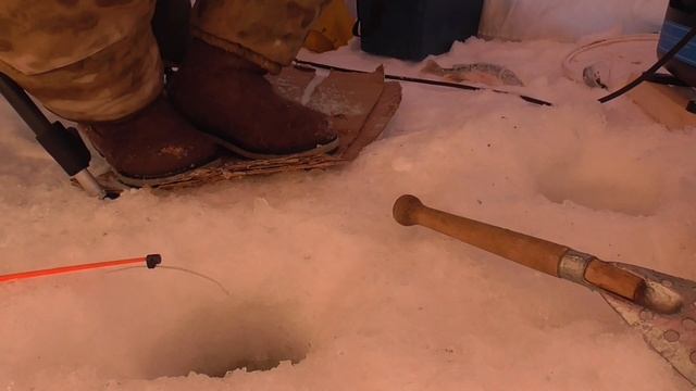 Рыбалка! Ловим живцов на налима! 10.02.2023. смотреть онлайн