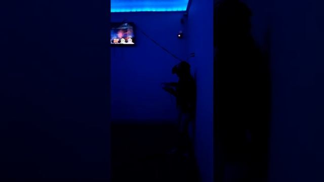 Best VR Screamer 2020 смотреть онлайн