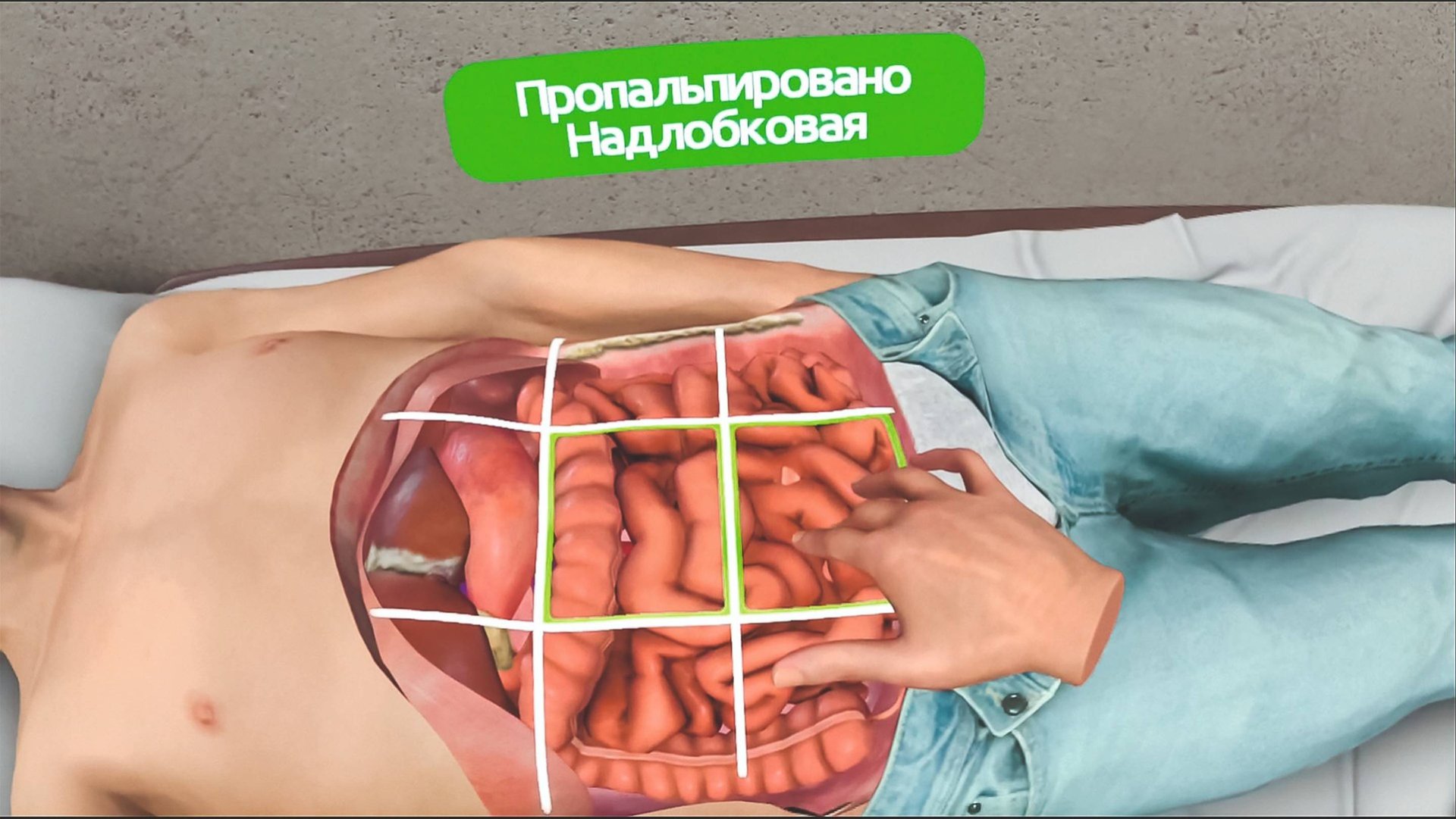 XR-Body - Гибридный симулятор пальпации живота смотреть онлайн