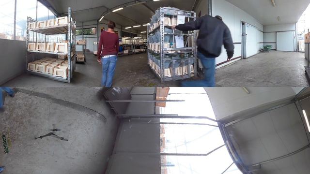 360 graden movie grower akkerboom freesia смотреть онлайн