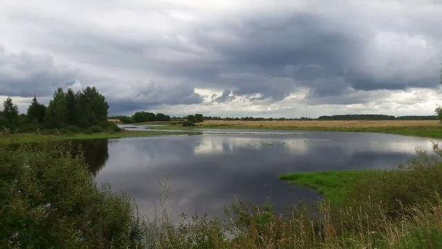 Чудесный русский пейзаж. Река Волховец. Новгородская область. смотреть онлайн