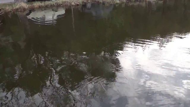 Испытания самодельного джерка2. Ловля щуки на джеркбейт смотреть онлайн