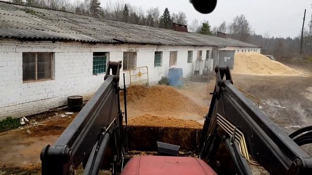 Завоз кормов, кормление быков в ангаре. Продолжаем осеннию вспашку на МТЗ 80.1 смотреть онлайн