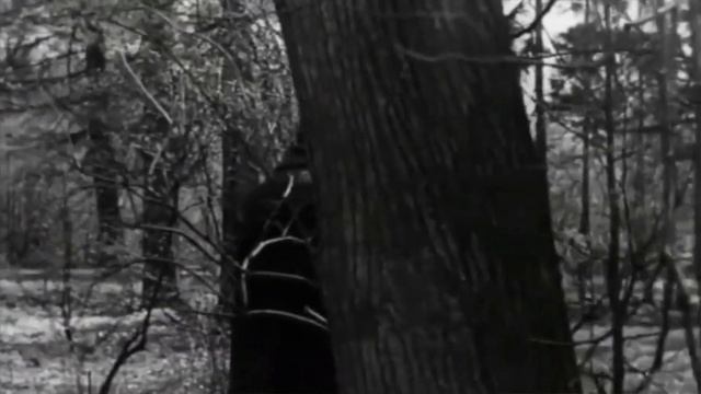 Микаэл Таривердиев - Дороги