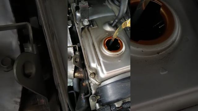 Aditivo con Ester, cambio total para mi auto Haval. смотреть онлайн