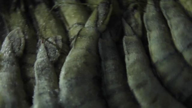 Креветки тигровые с головой смотреть онлайн