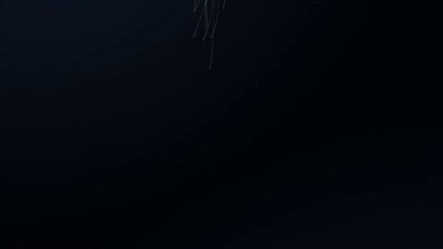 ASUS ZenBook 3- The world's most prestigious laptop with unprecedented performance смотреть онлайн