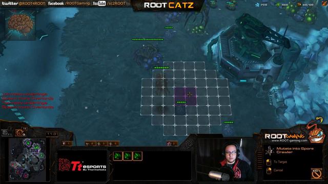 CatZ - Full Commentary on Korean Ladder [Game 1 - ZvZ] - Starcraft 2 HOTS смотреть онлайн