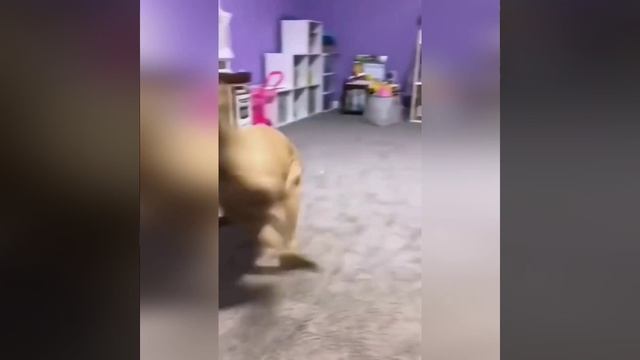 И так каждый день ) смотреть онлайн