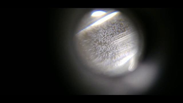 Инфузория туфелька ( Paramecium caudatum )под китайским микроскопом в капле воды смотреть онлайн