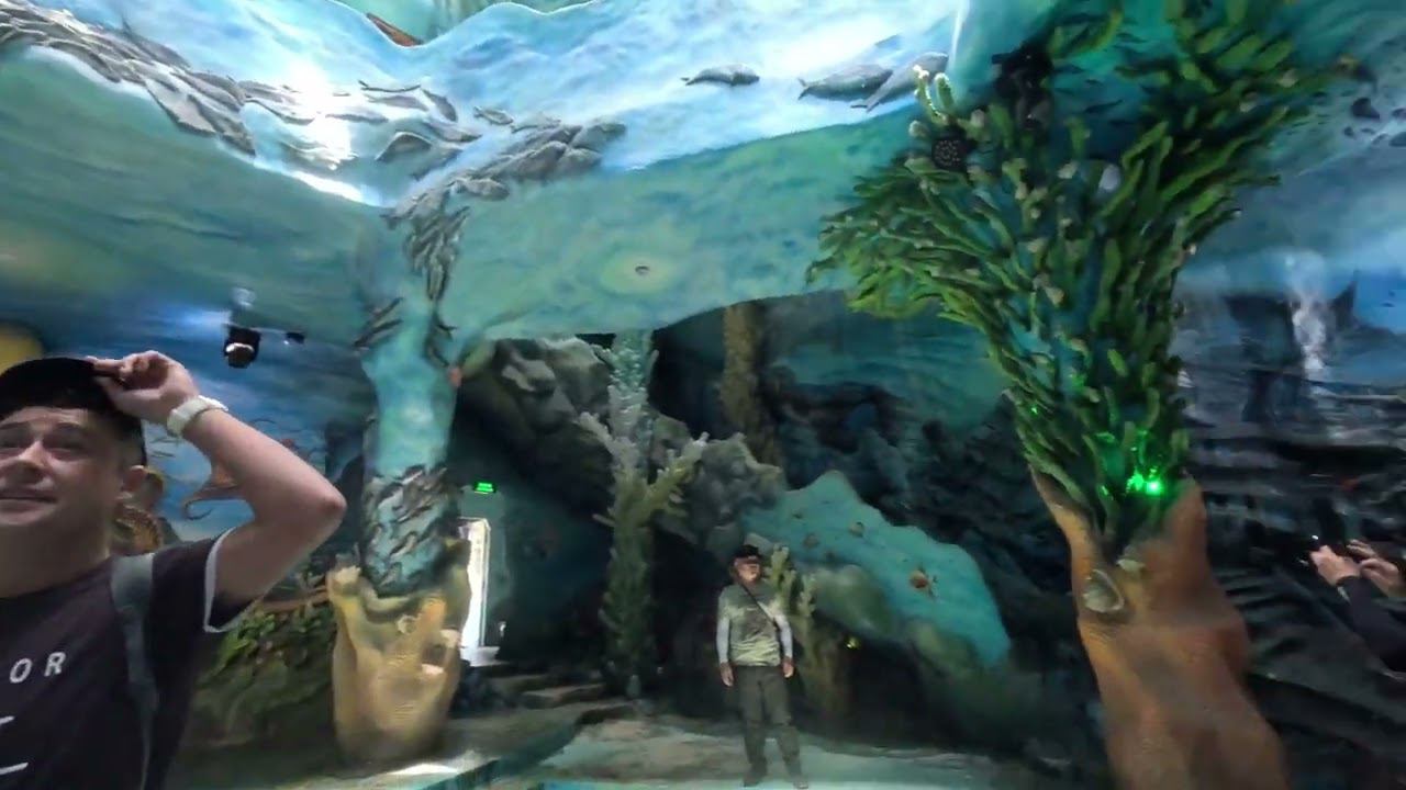 VLOG ВЬЕТНАМ// экскурсия в Далат/посетили АД, водопады и глиняную деревню!! смотреть онлайн