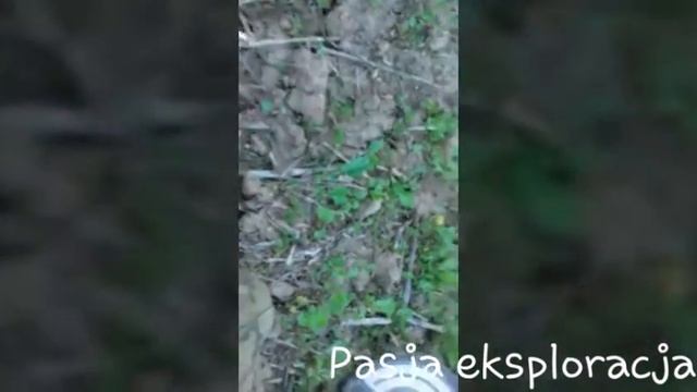 Rutus Proxima Garrett ace 250 wykopki granica czeska 2016 Находки на металлоискатель смотреть онлайн